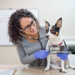 Veterinary